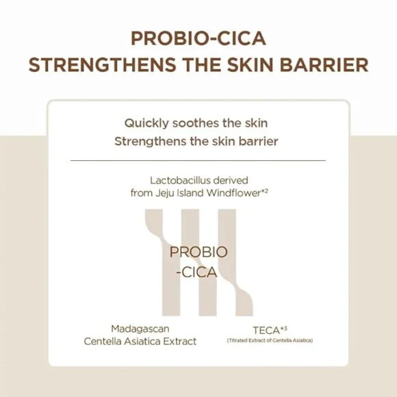 Skin1004 - Madagascar Centella Probio-Cica Enrich Cream 50ml - Image 7